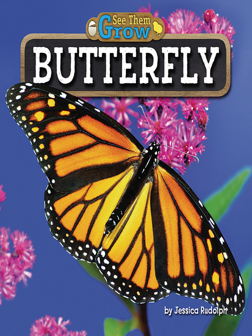Title details for Butterfly by Jessica Rudolph - Wait list